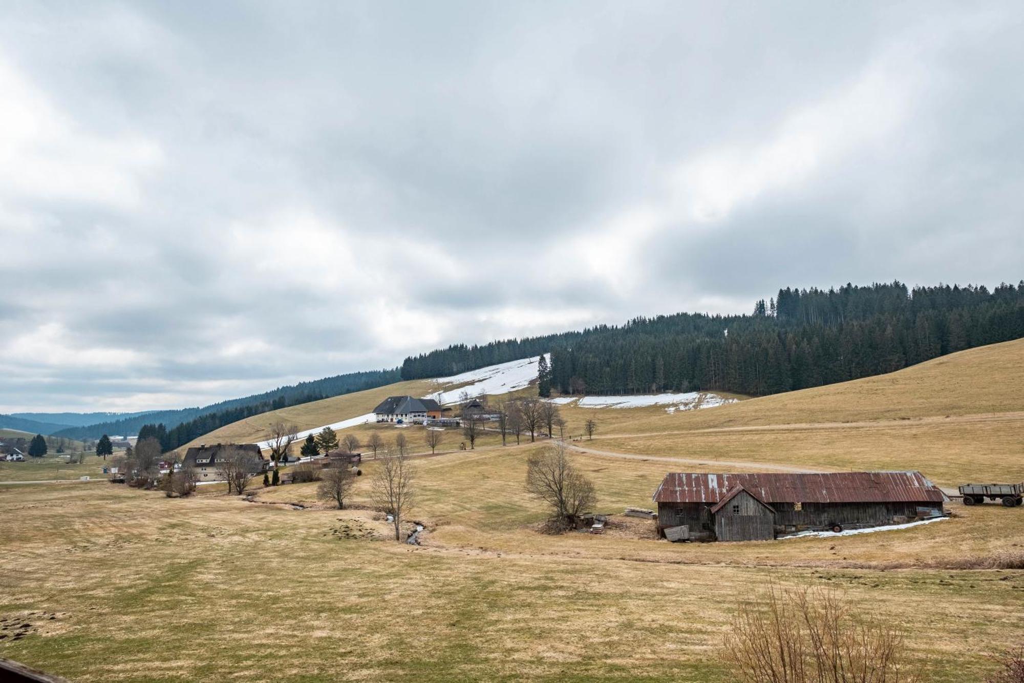 Ferienhaus Kaltenbach Titisee-Neustadt Εξωτερικό φωτογραφία