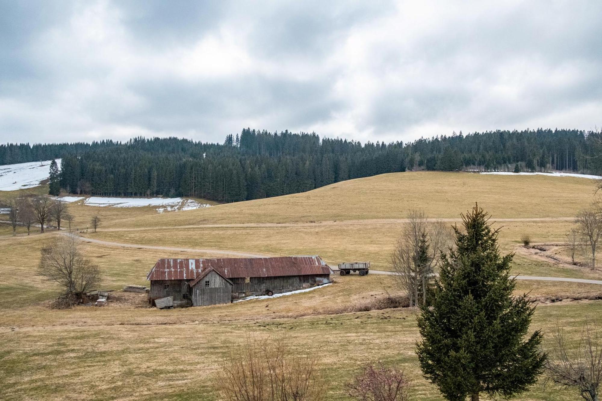 Ferienhaus Kaltenbach Titisee-Neustadt Εξωτερικό φωτογραφία