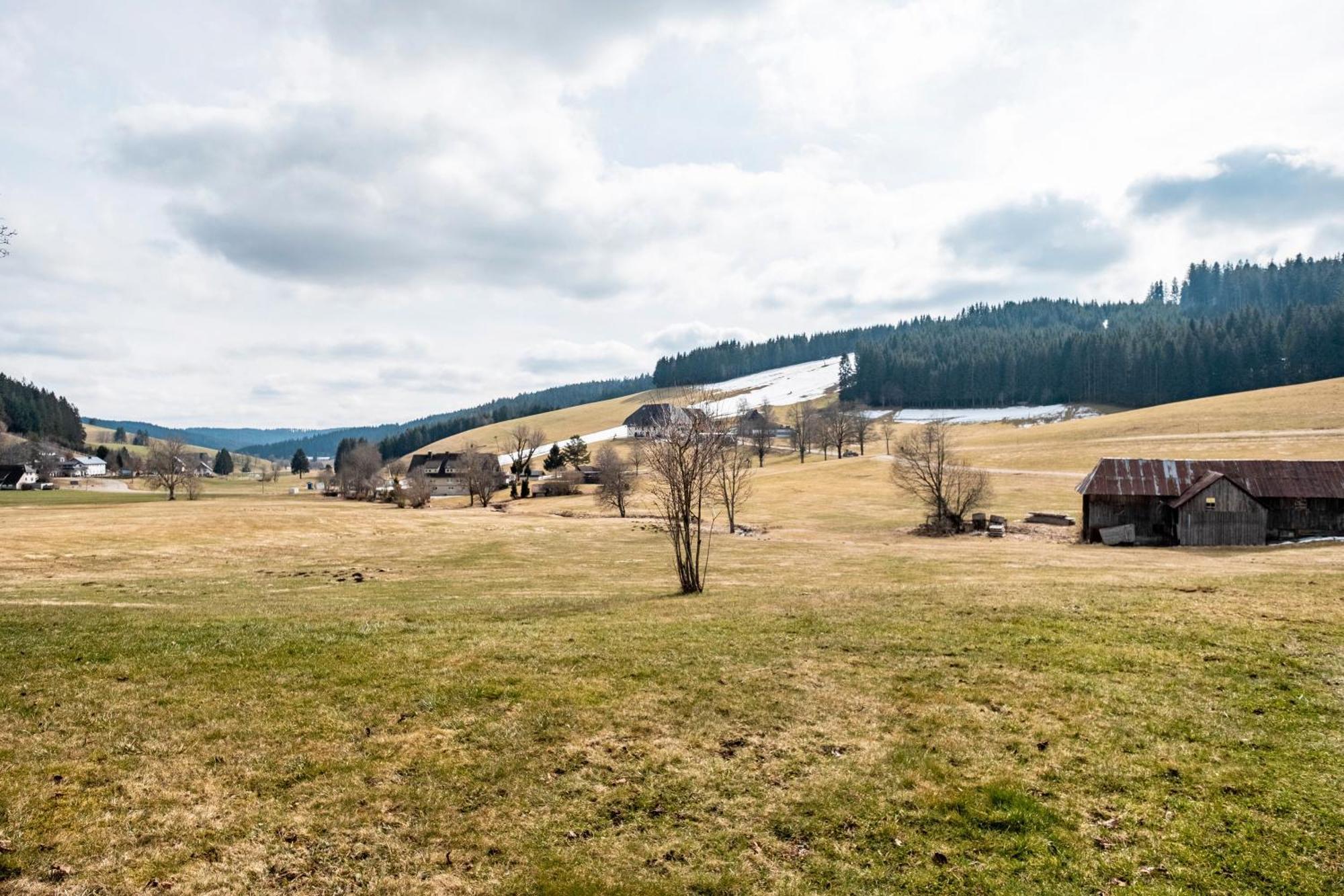 Ferienhaus Kaltenbach Titisee-Neustadt Εξωτερικό φωτογραφία